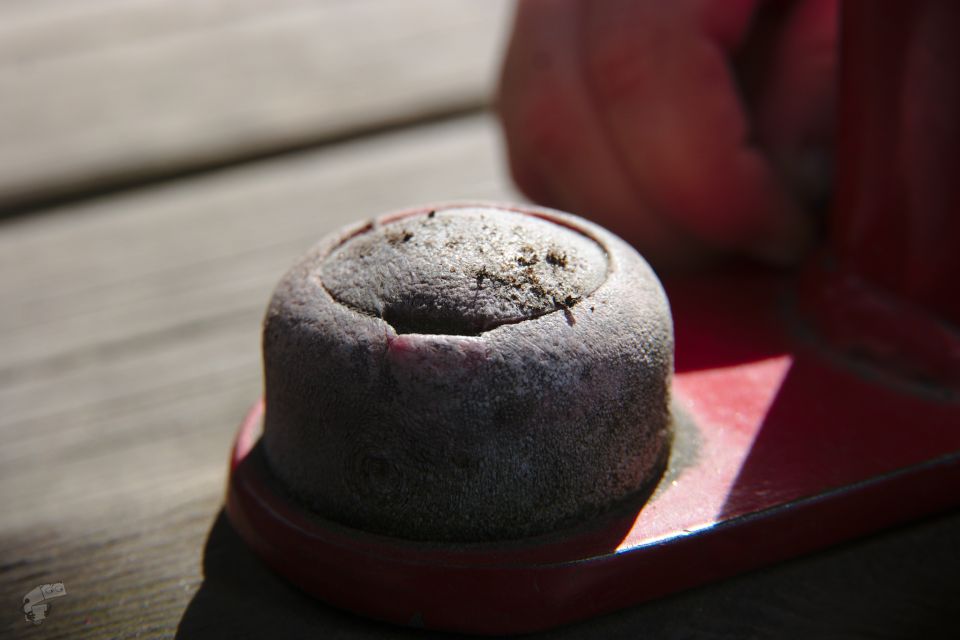 Makroa Fotgan loittorenkailla