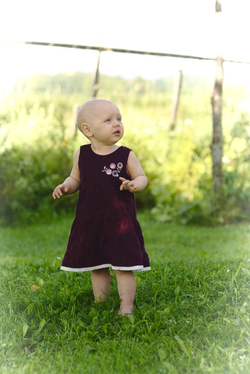 Ronja 1v