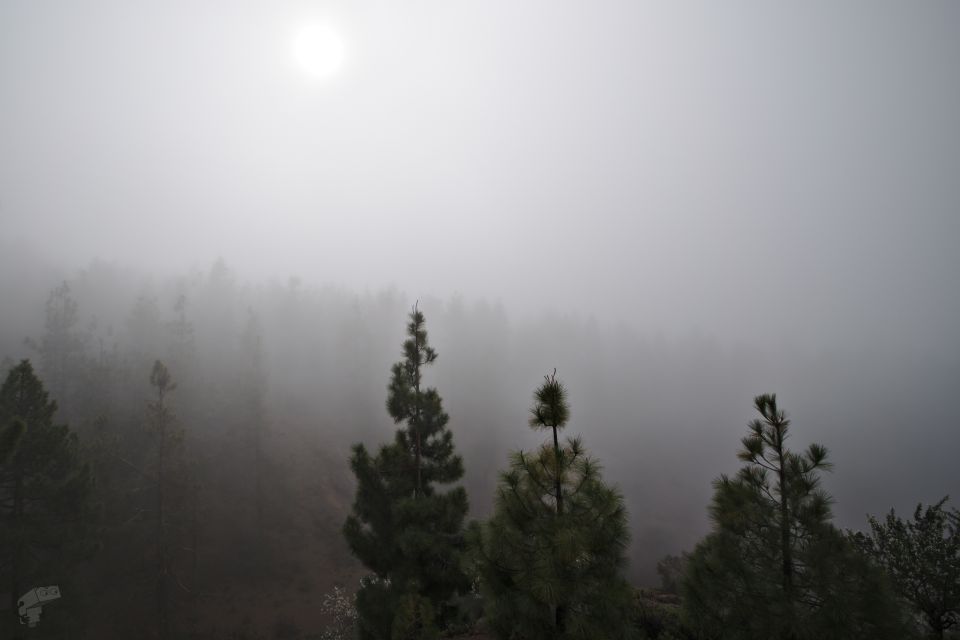 Half-way to Mount Teide
