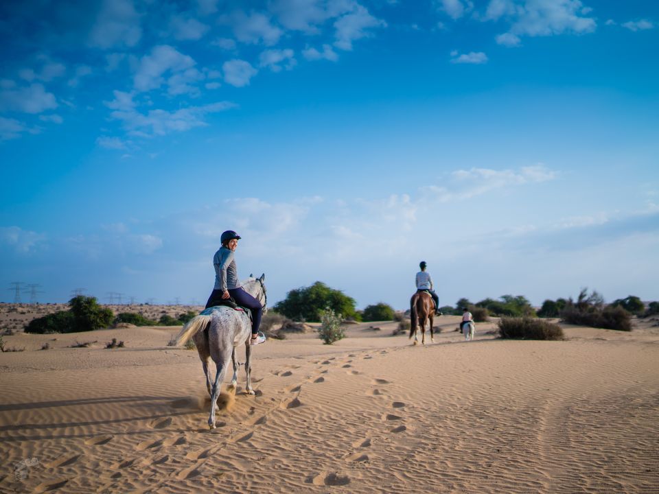 Dunien Horses